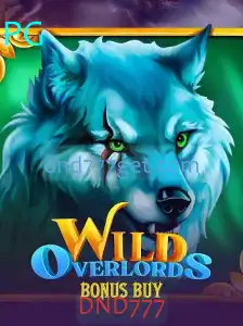 Explorando as Aventuras de WildOverlordsBonusBuy